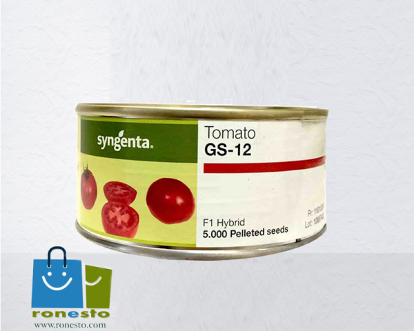 فروش بذر گوجه اس جی 12