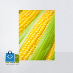 1263 seminis corn