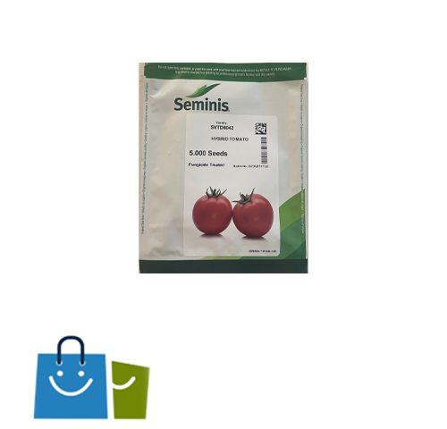 بذر گوجه فرنگی هیبرید 8042 سمینیس