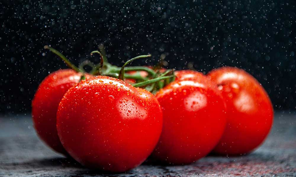 گیاه گوجه فرنگی و تاریخچه آن
